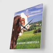 Simmental Bull in Pasture   Vierkante Klok (Hoek)