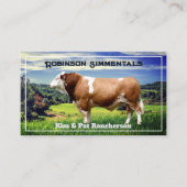 Simmental Bull in Pasture Visitekaartje (Voorkant)