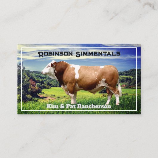 Simmental Bull in Pasture Visitekaartje (Voorkant)