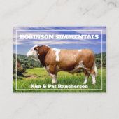 Simmental Bull in Pasture    Visitekaartje (Voorkant)