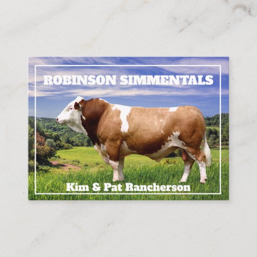 Simmental Bull in Pasture    Visitekaartje (Voorkant)