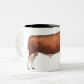 Simmental Bull Mok rundvlees (Voorkant links)