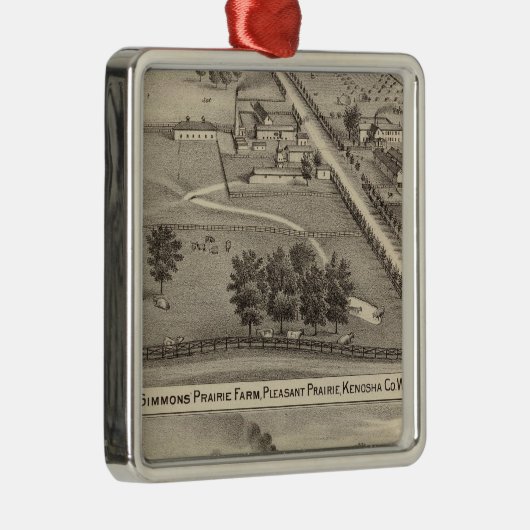 Simmon's Prairie Boerderij, Kenosha Water Cure Metalen Ornament (Rechts)