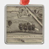 Simmon's Prairie Boerderij, Kenosha Water Cure Metalen Ornament (Voorkant)