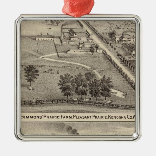Simmon's Prairie Boerderij, Kenosha Water Cure Metalen Ornament (Voorkant)