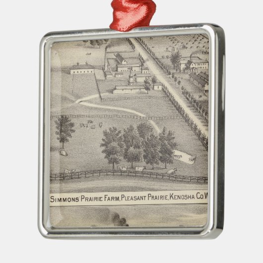 Simmon's Prairie Boerderij, Kenosha Water Cure Metalen Ornament (Links)