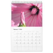 Simols van liefdesbloemkalender kalender (Feb 2026)
