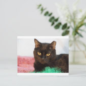 Simon Briefkaart (Staand voorkant)