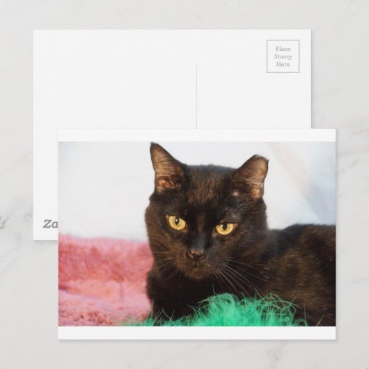 Simon Briefkaart (Voorkant / Achterkant)