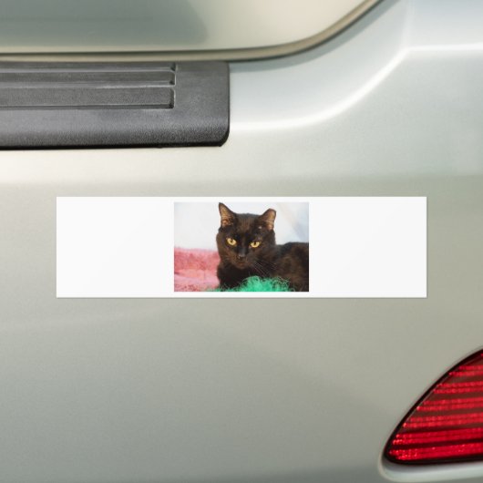 Simon Bumpersticker (Op auto)