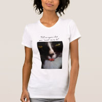 Simon, de kat van de slechte houding