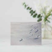 Simon Says CC0077 Briefkaart (Staand voorkant)