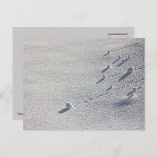 Simon Says CC0077 Briefkaart (Voorkant / Achterkant)