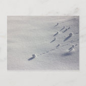 Simon Says CC0077 Briefkaart (Voorkant)