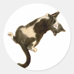 Simon Sticker - Spelen!