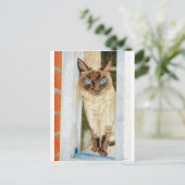 Simone in het raam (Siamese) Briefkaart (Staand voorkant)
