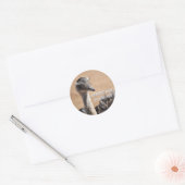 Simpática avestruz ronde sticker (Envelop)