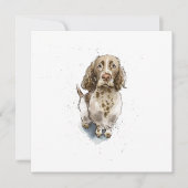 Simpele grappige schattige Springer Spaniel hond D Kaart (Voorkant)