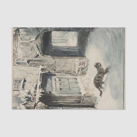 Simpkin the Cat Goes Out (van Beatrix Potter) Tissuepapier (Voorkant)