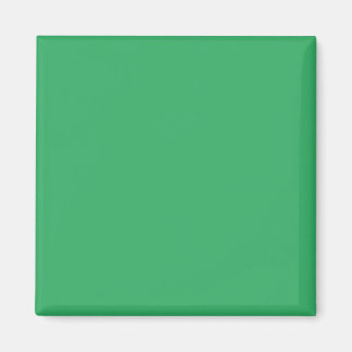 Simple Authority® Magneten