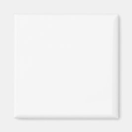 Simple Authority® Magneten