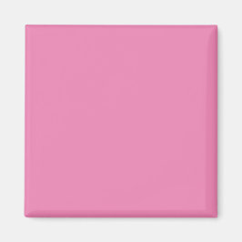 Simple Authority® Magneten