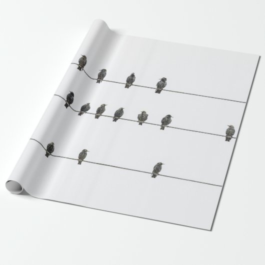 Simple Birds on the Wires Hand-Drawn Illustration Cadeaupapier (Uitgerold)