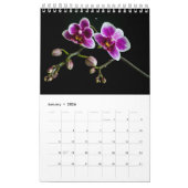 Simple Blooms bloemenfotografie collectie Kalender (Jan 2026)