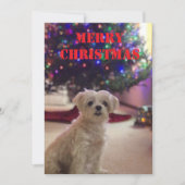 Simple Bold Christmas Card Kaart (Voorkant)