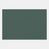 Simple Brunswick Green Inpakpapier Vel (Voorkant 3)