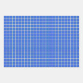 Simple Cobalt Blue Grid Lines Graph Pattern Inpakpapier Vel (Voorkant 3)