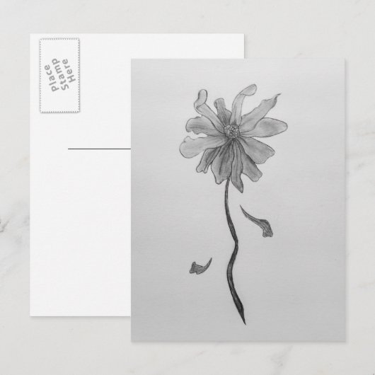 Simple Daisy Briefkaart (Voorkant / Achterkant)