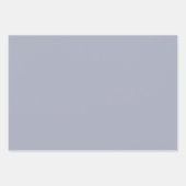 Simple Elegant Gift Wrap - Stylish Modern Inpakpapier Vel (Voorkant 2)