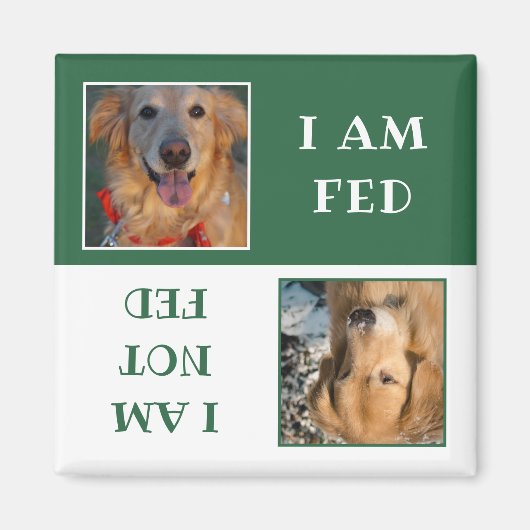 Simple Green White Dog Fed Photo Magneet (Voorkant)