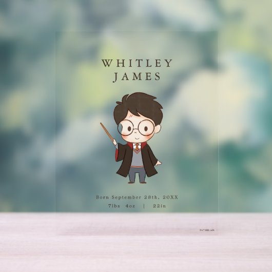 Simple Harry Potter-Baby shower Acryl Bord (Neutraal)
