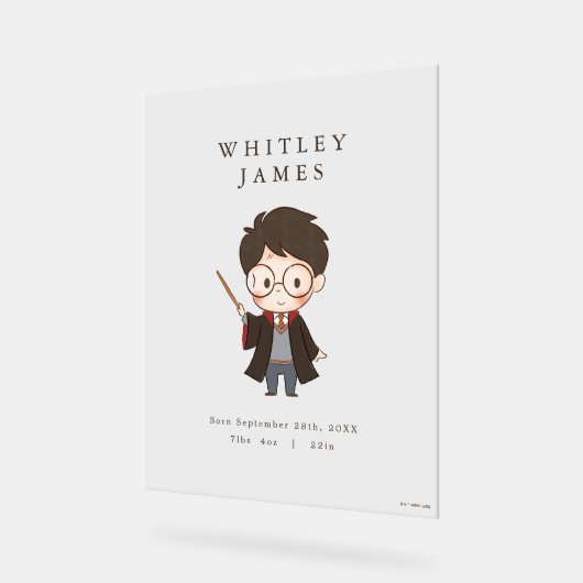 Simple Harry Potter-Baby shower Acryl Bord (Hoek)