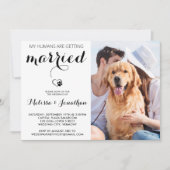 Simple Modern Photo Hondenliefhebber Pet Wedding Kaart (Voorkant)