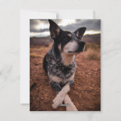 Simple Modern Pine Berry Full Photo Feestdagenkaart (Achterkant)