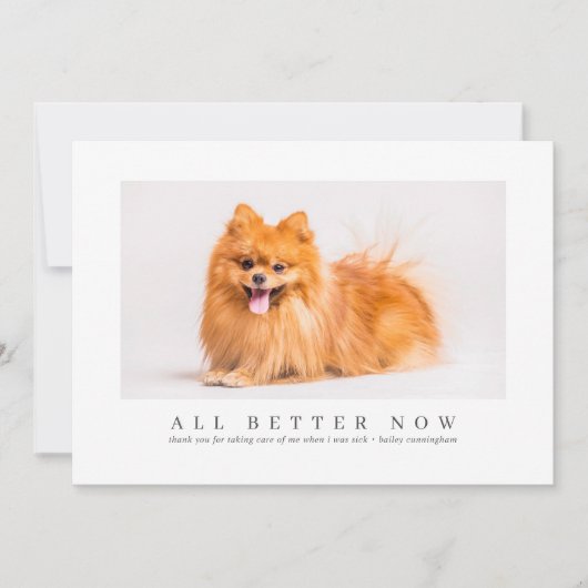 Simple Moderne Custom Pet Photo Bedankt Veterinari (Voorkant)