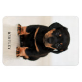 Simple Moderne Full Photo Dog Pet | Zwart Magneet (Horizontaal)