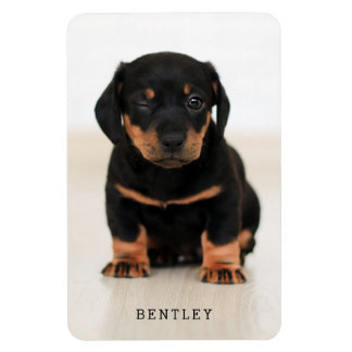 Simple Moderne Full Photo Dog Pet | Zwart Magneet