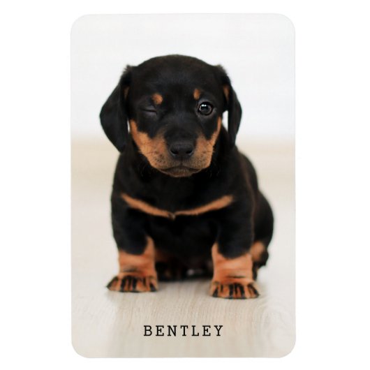 Simple Moderne Full Photo Dog Pet | Zwart Magneet (Verticaal)