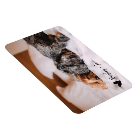 Simple Moderne Full Photo Pet Dog | Horizontaal Magneet (Rechterzijde)