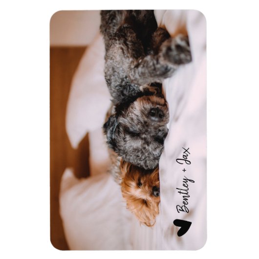 Simple Moderne Full Photo Pet Dog | Horizontaal Magneet (Verticaal)