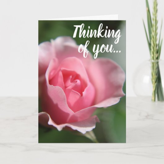 Simple Pink Rose Thinking of You Card Kaart (Voorkant)