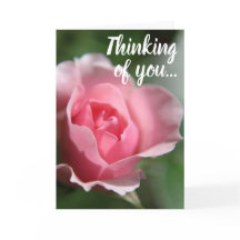 Simple Pink Rose Thinking of You Card