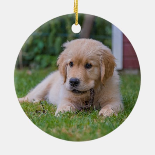 Simple Script Two Puppy Dog Photo Keramisch Ornament (Achterkant)