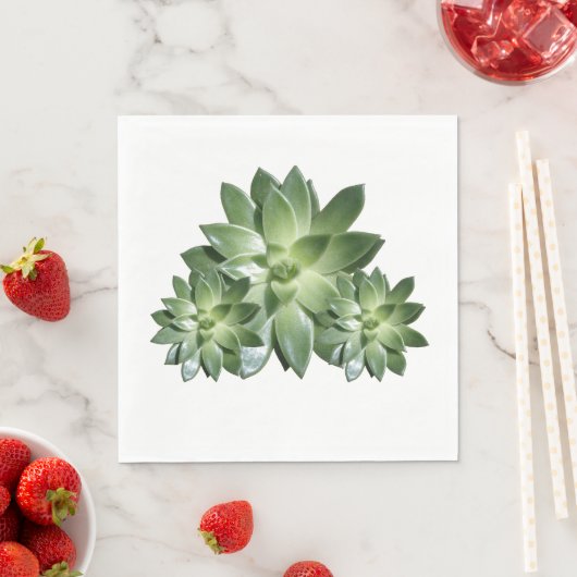 Simple Succulent Paper Napkins Servet (Insitu)