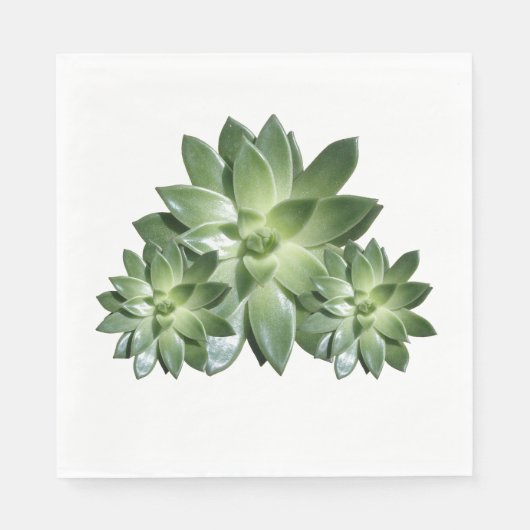 Simple Succulent Paper Napkins Servet (Voorkant)