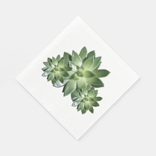 Simple Succulent Paper Napkins Servet (Hoek)